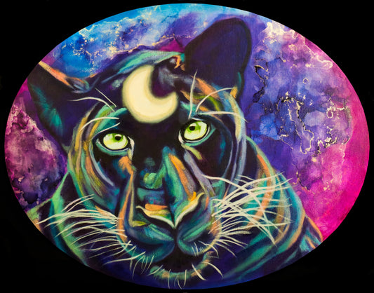 Luna Cat
